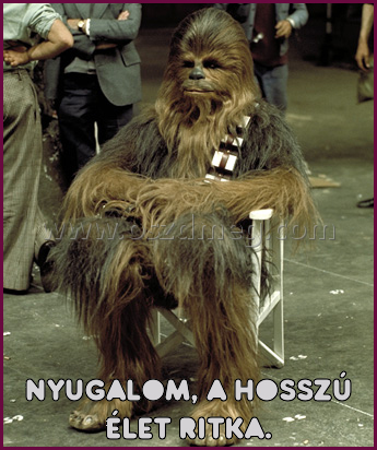 Nyugalom
 
Nyugalom, a hosszú élet ritka.