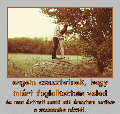 engem csesztetnek, hogy miért foglalkoztam veled
 
de nem értheti senki mit éreztem amikor a szemembe néztél.