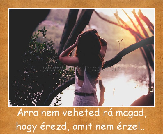 Arra nem veheted rá magad... Arra nem veheted rá magad...