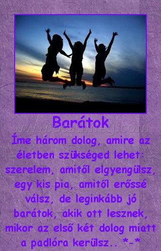 Barátok
 
Íme három dolog, amire az életben szükséged lehet: szerelem, amitől elgyengülsz, egy kis pia, amitől erőssé válsz, de leginkább jó barátok, akik ott lesznek, mikor az első két dolog miatt a padlóra kerülsz.. *-*
