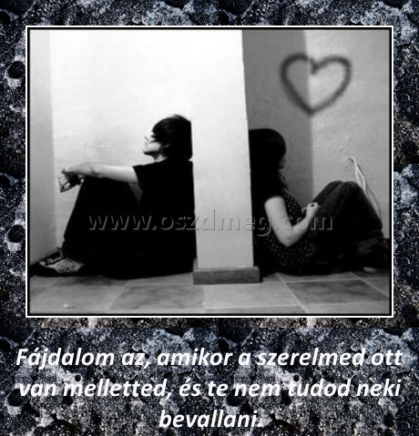 Fájdalom
 
Fájdalom az, amikor a szerelmed ott van melletted, és te nem tudod neki bevallani.