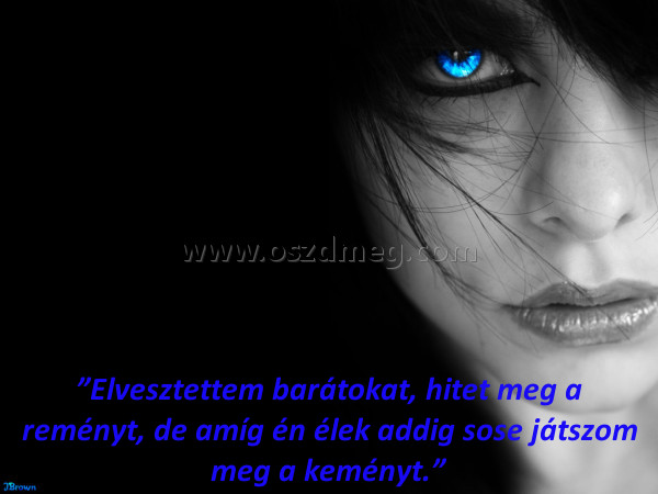 Elvesztettem barátokat
 
”Elvesztettem barátokat, hitet meg a reményt, de amíg én élek addig sose játszom meg a keményt.”