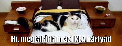 IKEA kártya
 
Hi, megtaláltam az IKEA kártyád