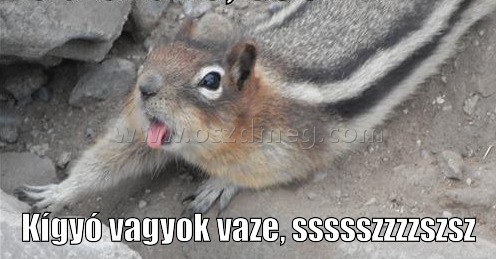 Kígyó vagyok vaze
 
Kígyó vagyok vaze, ssssszzzzszsz