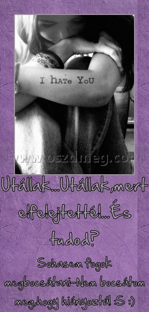 Utállak Utállak
Sohasem fogok megbocsátani-Nem bocsátom meg,hogy hiányoztál :S :)