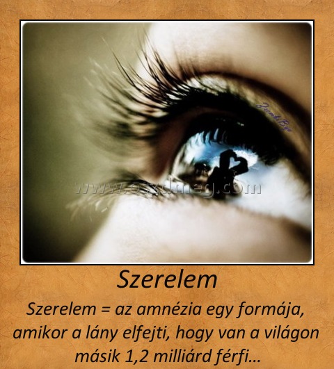 Szerelem
 
Szerelem = az amnézia egy formája,  amikor a lány elfejti, hogy van a világon  másik 1,2 milliárd férfi…