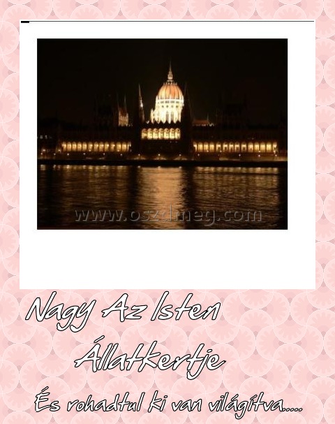 Nagy Az Isten Állatkertje
 
És rohadtul ki van világítva.....