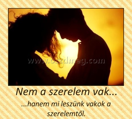 Nem a szerelem vak... Nem a szerelem vak...
...hanem mi leszünk vakok a szerelemtől.