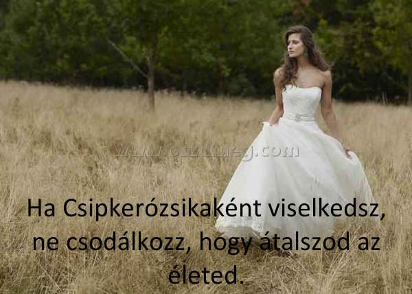 Ha Csipkerózsikaként viselkedsz, ne
 
Ha Csipkerózsikaként viselkedsz, ne csodálkozz, hogy átalszod az életed.