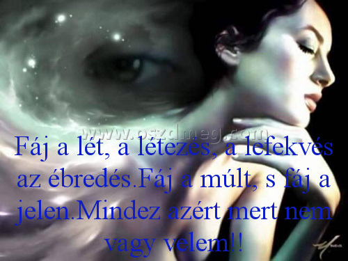 Fáj a lét
 
Fáj a lét, a létezés, a lefekvés az ébredés.Fáj a múlt, s fáj a jelen.Mindez azért mert nem vagy velem!!