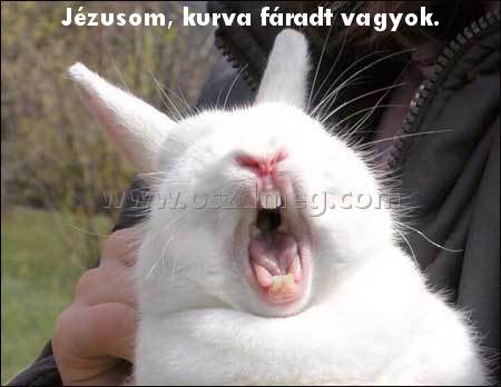 Jézusom
 
Jézusom, kurva fáradt vagyok.