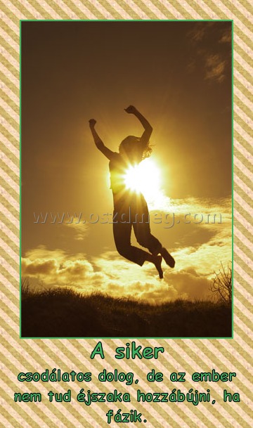 A siker
 
csodálatos dolog, de az ember nem tud éjszaka hozzábújni, ha fázik.