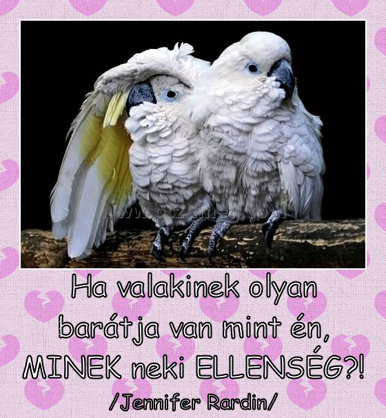 Ha valakinek olyan barátja van mint én, MINEK neki ELLENSÉG?!
 
/Jennifer Rardin/