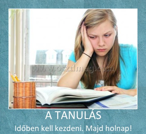 A TANULÁS
 
Időben kell kezdeni. Majd holnap!