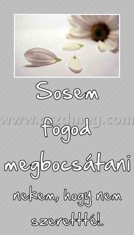 Sosem fogod megbocsátani Sosem fogod megbocsátani
nekem, hogy nem szeretttél.