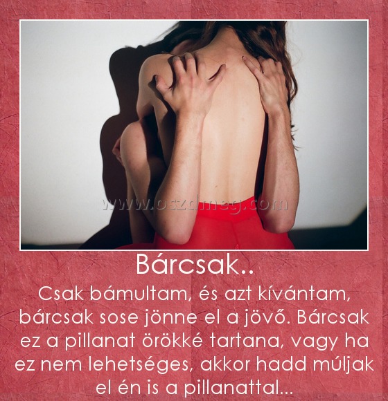 Bárcsak..
 
Csak bámultam, és azt kívántam, bárcsak sose jönne el a jövő. Bárcsak ez a pillanat örökké tartana, vagy ha ez nem lehetséges, akkor hadd múljak el én is a pillanattal...