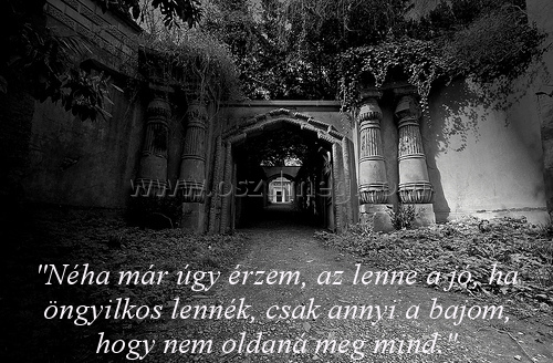 Néha már úgy érzem
 
