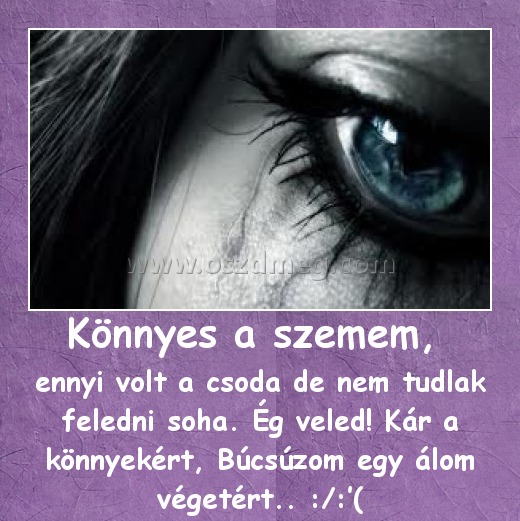 Könnyes a szemem, 
 
ennyi volt a csoda de nem tudlak feledni soha. Ég veled! Kár a könnyekért, Búcsúzom egy álom végetért.. :/:’(