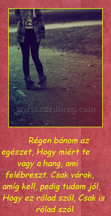 Bánom az egészet
 
             Régen bánom az egészet, Hogy miért te vagy a hang, ami felébreszt. Csak várok, amíg kell, pedig tudom jól, Hogy ez rólad szól, Csak is rólad szól.