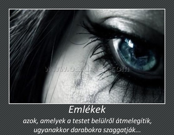 Emlékek Emlékek
azok, amelyek a testet belülről átmelegítik, ugyanakkor darabokra szaggatják...