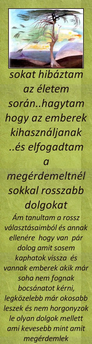 Sokat hibáztam
 
Ám tanultam a rossz választásaimból és annak ellenére  hogy van  pár dolog amit sosem kaphatok vissza  és vannak emberek akik már soha nem fognak bocsánatot kérni, legközelebb már okosabb leszek és nem horgonyzok le olyan dolgok mellett ami kevesebb mint amit megérdemlek