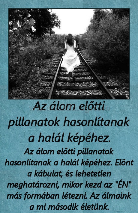 Az álom előtti pillanatok hasonlítanak a halál képéhez.
 
Az álom előtti pillanatok hasonlítanak a halál képéhez. Elönt a kábulat, és lehetetlen meghatározni, mikor kezd az 