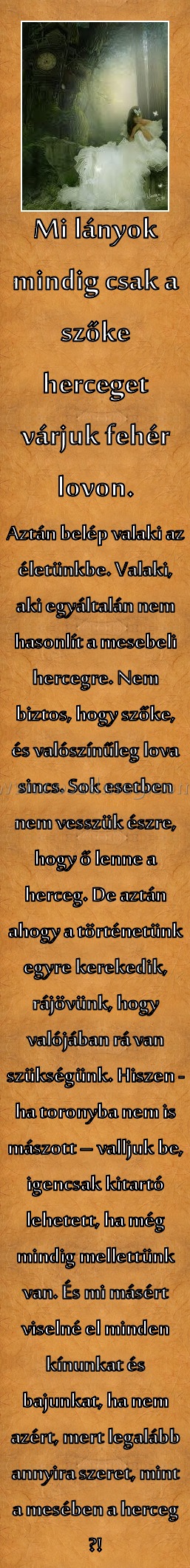 Mi lányok
 
Aztán belép valaki az életünkbe. Valaki, aki egyáltalán nem hasonlít a mesebeli hercegre. Nem biztos, hogy szőke, és valószínűleg lova sincs. Sok esetben nem vesszük észre, hogy ő lenne a herceg. De aztán ahogy a történetünk egyre kerekedik, rájövünk, hogy valójában rá van szükségünk. Hiszen - ha toronyba nem is mászott – valljuk be, igencsak kitartó lehetett, ha még mindig mellettünk van. És mi másért viselné el minden kínunkat és bajunkat, ha nem azért, mert legalább annyira szeret, mint a mesében a herceg ?!