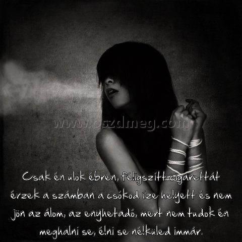 Csak én ülök ébren
 
Csak én ülök ébren, féligszítt cigarettát érzek a számban a csókod íze helyett és nem jön az álom, az enyhetadó, mert nem tudok én meghalni se, élni se nélküled immár.