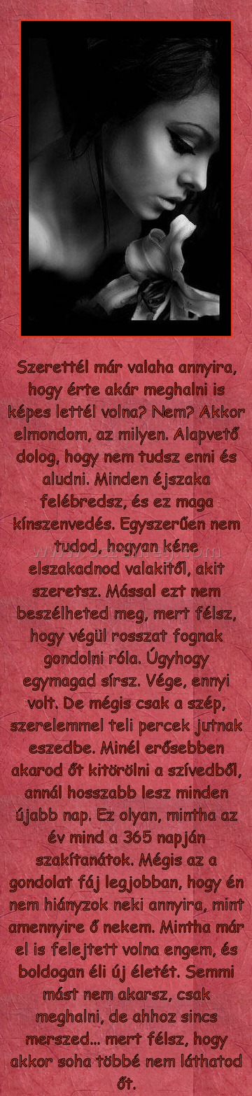 Szerettél már valaha annyira?
 
Szerettél már valaha annyira, hogy érte akár meghalni is képes lettél volna? Nem? Akkor elmondom, az milyen. Alapvető dolog, hogy nem tudsz enni és aludni. Minden éjszaka felébredsz, és ez maga kínszenvedés. Egyszerűen nem tudod, hogyan kéne elszakadnod valakitől, akit szeretsz. Mással ezt nem beszélheted meg, mert félsz, hogy végül rosszat fognak gondolni róla. Úgyhogy egymagad sírsz. Vége, ennyi volt. De mégis csak a szép, szerelemmel teli percek jutnak eszedbe. Minél erősebben akarod őt kitörölni a szívedből, annál hosszabb lesz minden újabb nap. Ez olyan, mintha az év mind a 365 napján szakítanátok. Mégis az a gondolat fáj legjobban, hogy én nem hiányzok neki annyira, mint amennyire ő nekem. Mintha már el is felejtett volna engem, és boldogan éli új életét. Semmi mást nem akarsz, csak meghalni, de ahhoz sincs merszed... mert félsz, hogy akkor soha többé nem láthatod őt.