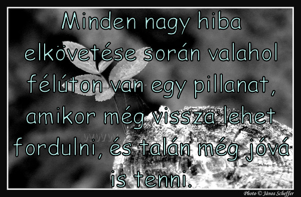 Minden nagy hiba elkövetése
 
Minden nagy hiba elkövetése során valahol félúton van egy pillanat, amikor még vissza lehet fordulni, és talán még jóvá is tenni.