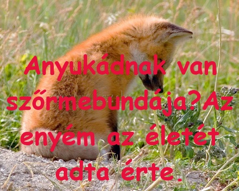 Anyukádnak van szőrmebundája?Az enyém
 
Anyukádnak van szőrmebundája?Az enyém az életét adta érte.