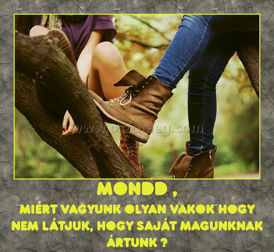 Mondd ,
 
miért vagyunk olyan vakok Hogy nem látjuk, hogy saját magunknak ártunk ?