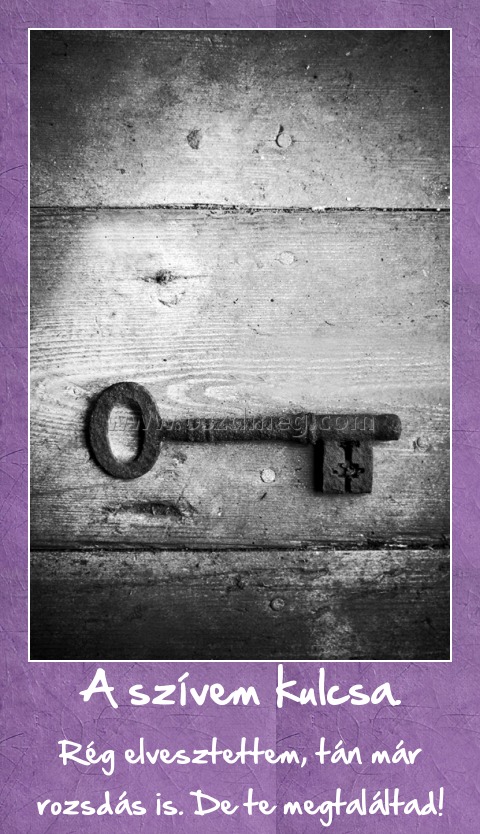 A szívem kulcsa.
 
Rég elvesztettem, tán már rozsdás is. De te megtaláltad!