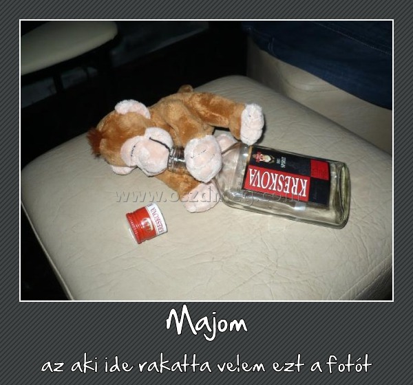 Majom Majom
az aki ide rakatta velem ezt a fotót
