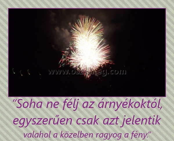 “Soha ne félj az árnyékoktól, egyszerűen csak azt jelentik
 
valahol a közelben ragyog a fény.”