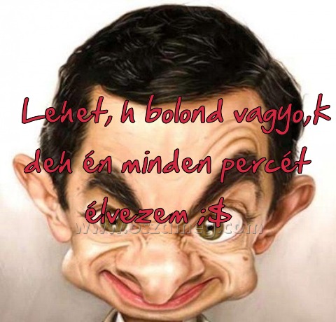 Lehet
 
Lehet, h bolond vagyo,k deh én minden percét élvezem ;$