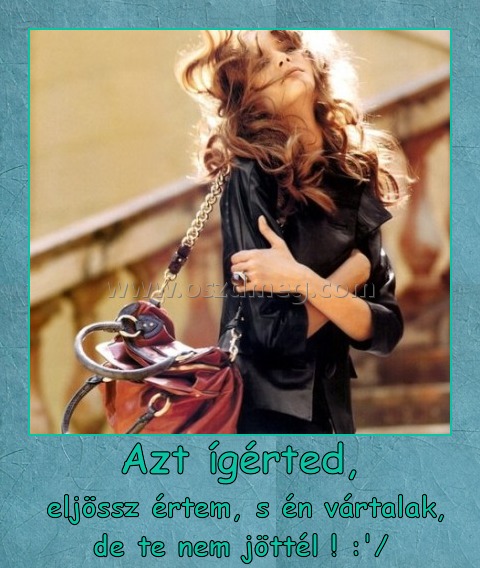 Azt ígérted, Azt ígérted,
eljössz értem, s én vártalak, de te nem jöttél ! :'/