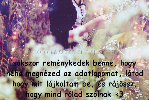 sokszor reménykedek benne
 
sokszor reménykedek benne, hogy néha megnézed az adatlapomat, látod hogy mit lájkoltam be, és rájössz, hogy mind rólad szólnak <3