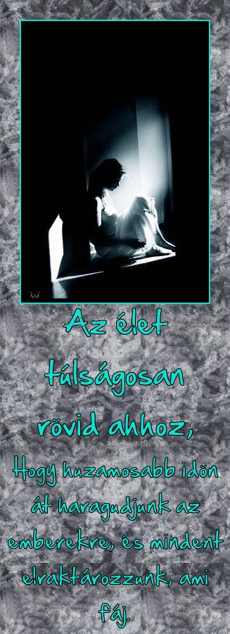 Az élet túlságosan rövid ahhoz,
 
Hogy huzamosabb idön át haragudjunk az emberekre, és mindent elraktározzunk, ami fáj.