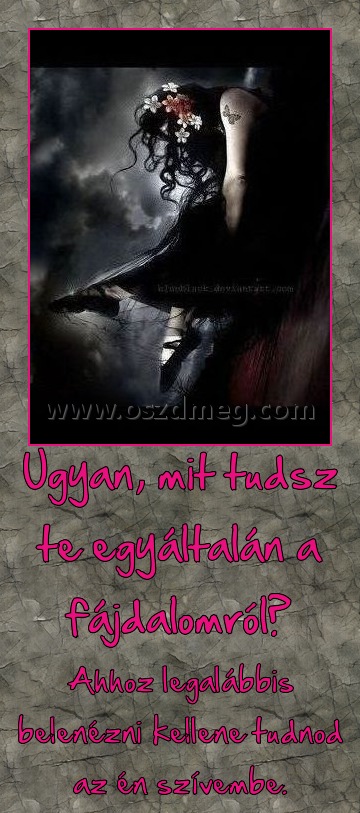 Ugyan, mit tudsz te egyáltalán a fájdalomról?
 
Ahhoz legalábbis belenézni kellene tudnod az én szívembe.