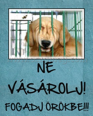 NE VÁSÁROLJ! NE VÁSÁROLJ!
FOGADJ ÖRÖKBE!!!