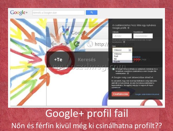 Google+ profil fail
 
Nőn és férfin kivül még ki csinálhatna profilt??