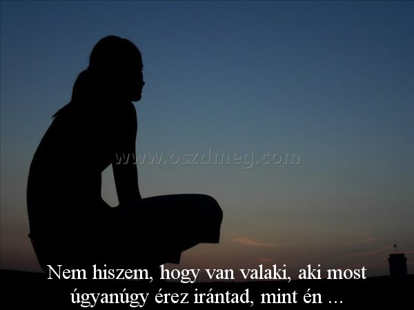 Nem hiszem
 
Nem hiszem, hogy van valaki, aki most úgyanúgy érez irántad, mint én ...
