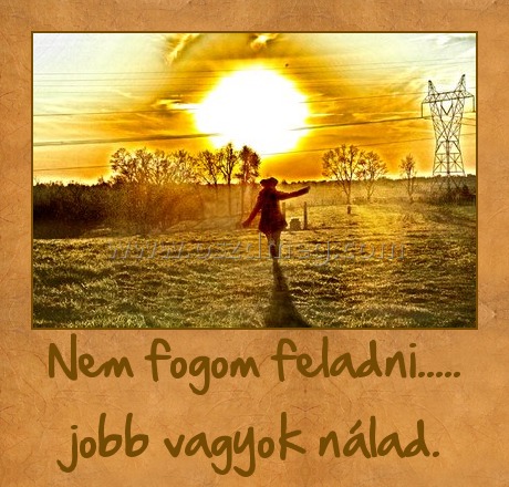 Nem fogom feladni..... jobb vagyok nálad. Nem fogom feladni..... jobb vagyok nálad.