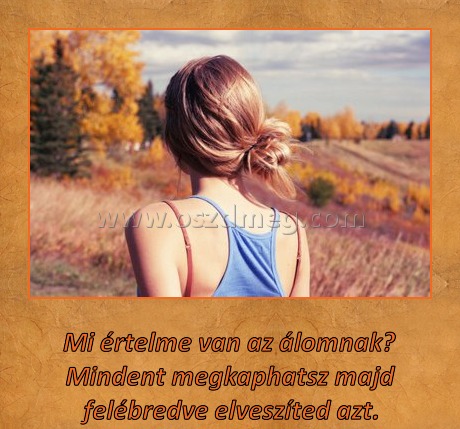 Mi értelme van az álomnak?
 
Mi értelme van az álomnak?  Mindent megkaphatsz majd felébredve elveszíted azt.