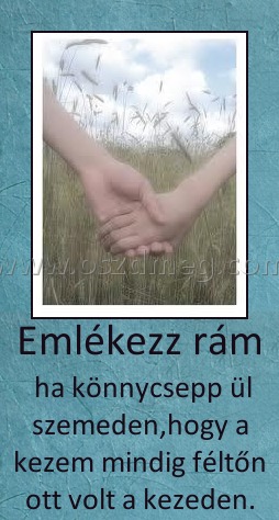 Emlékezz rám
 
 ha könnycsepp ül szemeden,hogy a kezem mindig féltőn ott volt a kezeden.