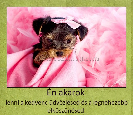 Én akarok 
 
lenni a kedvenc üdvözlésed és a legnehezebb elköszönésed.