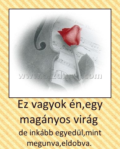 Ez vagyok én,egy magányos virág 
 
de inkább egyedül,mint megunva,eldobva. 