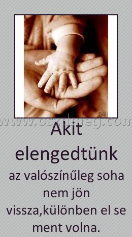 Akit elengedtünk Akit elengedtünk
az valószínűleg soha nem jön vissza,különben el se ment volna.