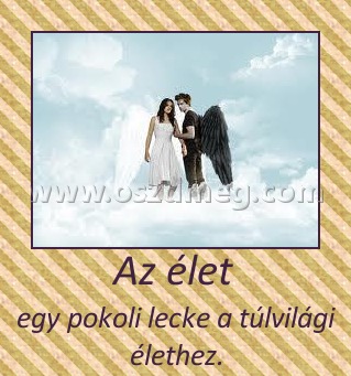 Az élet 
 
egy pokoli lecke a túlvilági élethez.